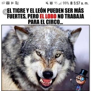 Meet your Posher, Alberto